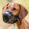 Muzzle, plastic M black 22cm