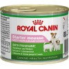 Royal Canin Starter Mousse Mother & Babydog 195gr